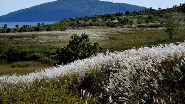 Президентский дворец на площади Соколо в Мехико - Sputnik Армения