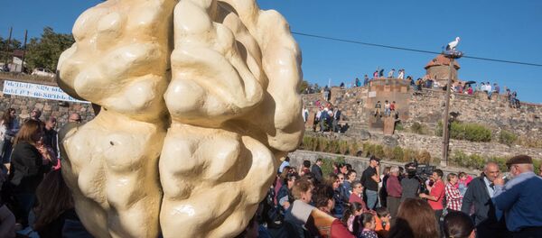 Фестиваль грецкого ореха в Аштараке Фестиваль грецкого ореха в Аштараке - Sputnik Արմենիա