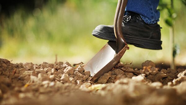 Мужчина копает землю. Архивное фото - Sputnik Армения