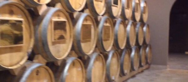 Корреспонденты Sputnik Армения на экскурсии в Ереванском коньячном заводе Корреспонденты Sputnik Армения на экскурсии в Ереванском коньячном заводе - Sputnik Армения