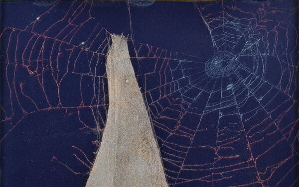 Անդրանիկ Ավետիսյանի սարդոստայնով պատրաստված գործերը - Sputnik Արմենիա