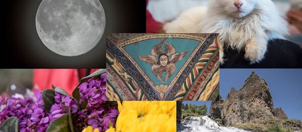 Армянские легенды и мифы Армянские легенды и мифы - Sputnik Армения