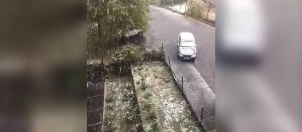 В Ереване пошел первый снег В Ереване пошел первый снег - Sputnik Армения