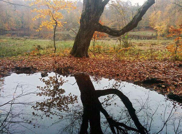 В каждом уголке - нечто потрясающее: Forbes рассказал об Армении и гостеприимстве армян - Sputnik Армения