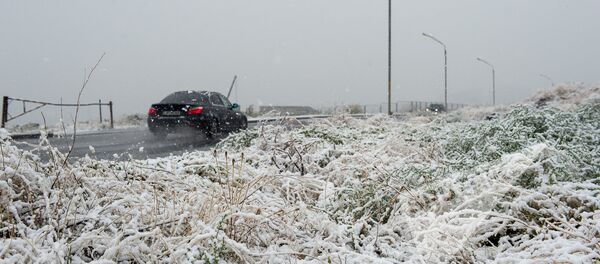 В Ереване пошел первый снег, 2016г. В Ереване пошел первый снег, 2016г. - Sputnik Армения