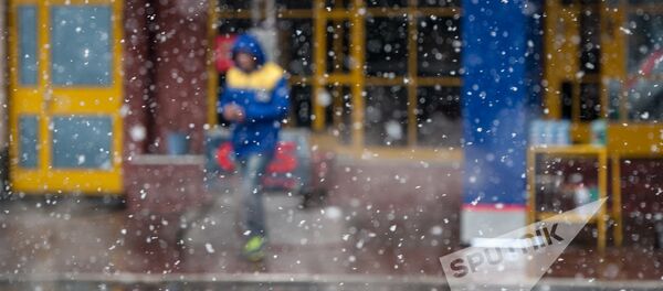 В Ереване пошел первый снег, 2016г. - Sputnik Армения