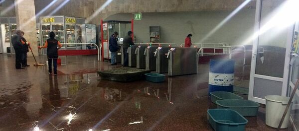 Станция метро имени Зоравара Андраника Станция метро имени Зоравара Андраника - Sputnik Армения