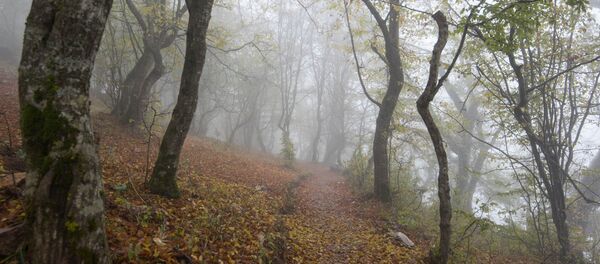 Тавушская область, Армения - Sputnik Армения