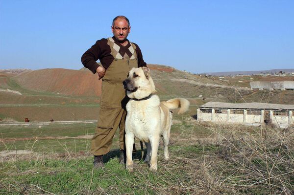 Армянский гампр. Урарту - Sputnik Армения