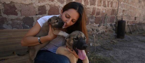 Sputnik Армения побывал в гостях у Кинологического союза Армении Sputnik Армения побывал в гостях у Кинологического союза Армении - Sputnik Армения