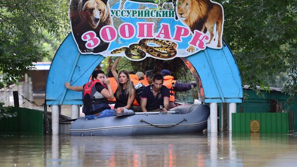 Уссурийский зоопарк после наводнения - Sputnik Армения