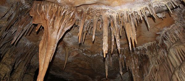 Медвежья пещера Медвежья пещера - Sputnik Армения