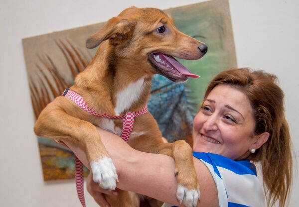 Выставка картин Анжелики Морозовой под названием Здесь был Дарвин Выставка картин Анжелики Морозовой под названием Здесь был Дарвин - Sputnik Армения