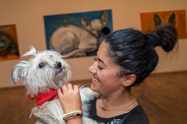 Выставка картин Анжелики Морозовой под названием Здесь был Дарвин Выставка картин Анжелики Морозовой под названием Здесь был Дарвин - Sputnik Армения