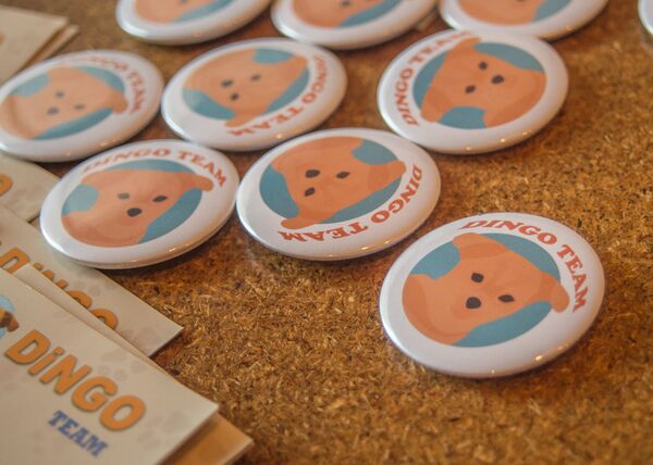 Значки Динго Значки Динго - Sputnik Армения