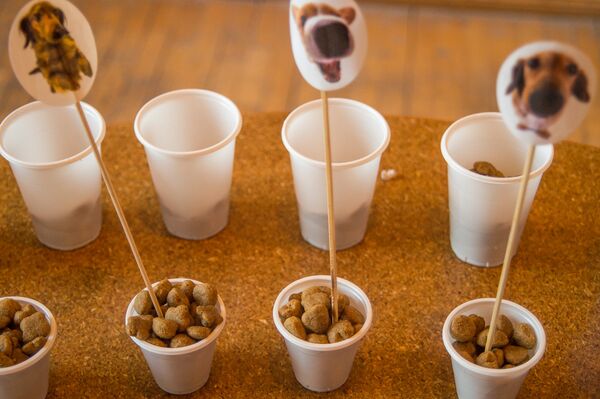 Угощения для животных на выставке Анжелики Морозовой под названием Здесь был Дарвин Угощения для животных на выставке Анжелики Морозовой под названием Здесь был Дарвин - Sputnik Армения