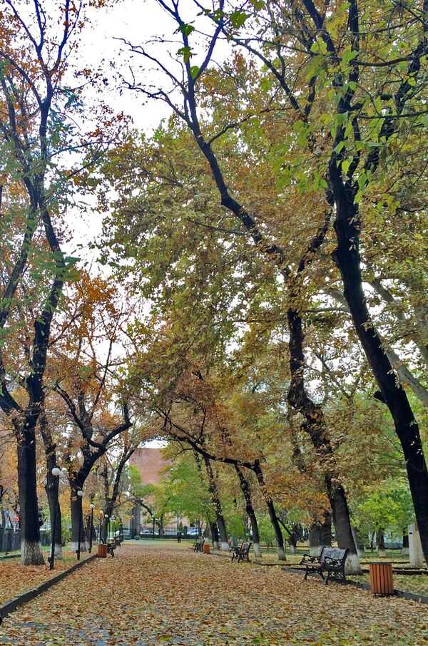 Осень в Ереване  - Sputnik Армения