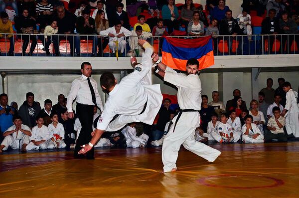 11-ое открытое первенство по Киокушинкай каратэ Армении 11-ое открытое первенство по Киокушинкай каратэ Армении - Sputnik Արմենիա