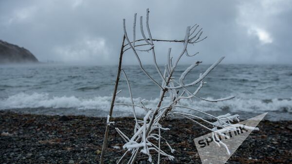 Озеро Севан зимой - Sputnik Արմենիա