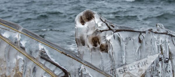 Озеро Севан зимой Озеро Севан зимой - Sputnik Արմենիա