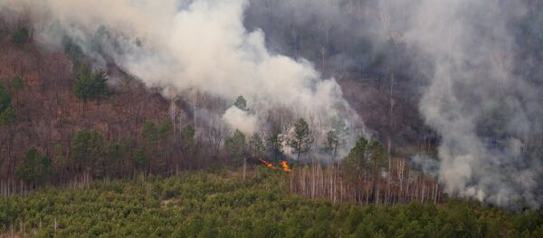 Природные пожары - Sputnik Армения