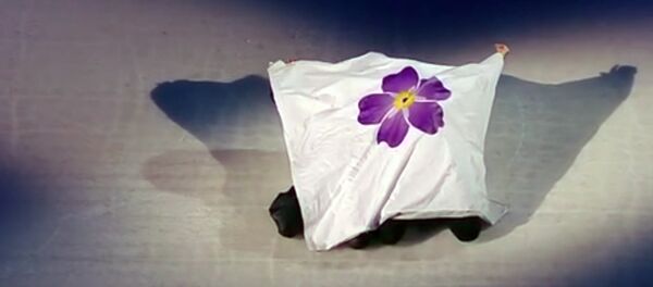 Екатерина Варнава и Максим Маринин — «Ari Im Sokhag». Ледниковый период Екатерина Варнава и Максим Маринин — «Ari Im Sokhag». Ледниковый период - Sputnik Армения