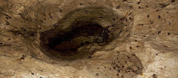 Азохская пещера в Гадрутском районе Нагорного Карабаха Азохская пещера в Гадрутском районе Нагорного Карабаха - Sputnik Արմենիա