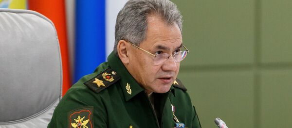 Министр обороны РФ Сергей Шойгу - Sputnik Армения