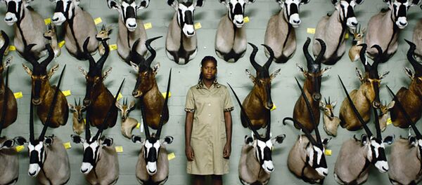 Иллюстрации из фильма Сафари - Sputnik Армения