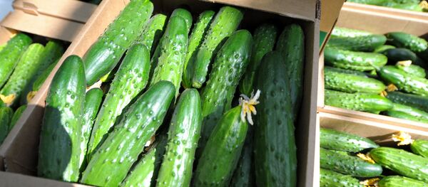 Огурцы - Sputnik Армения