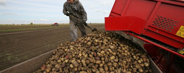 Уборка картофеля - Sputnik Армения