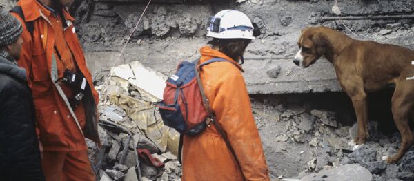 Горноспасатели из Швейцарии занимаются поиском людей в завалах - Sputnik Армения