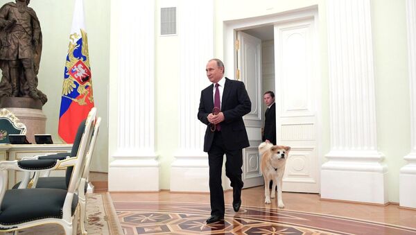 Путин показал японским журналистам строгую собак породы акита‍ - Sputnik Армения