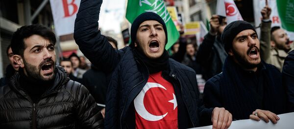 Участники антироссийской акции в Стамбуле - Sputnik Армения
