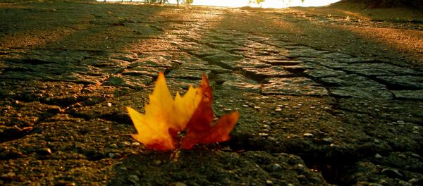 Осень, дождь, погода Осень, дождь, погода - Sputnik Արմենիա