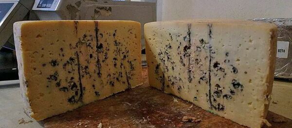 Сыр рокфор компании Аштарак кат Сыр рокфор компании Аштарак кат - Sputnik Արմենիա