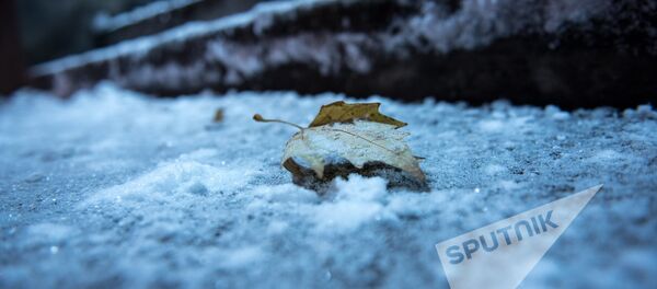 Заснеженный Ереван Заснеженный Ереван - Sputnik Արմենիա