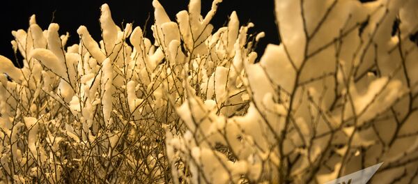 Заснеженный Ереван - Sputnik Армения