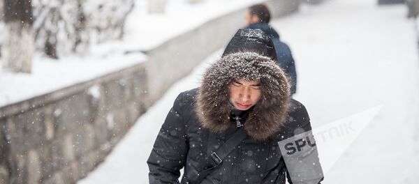 Заснеженный Ереван - Sputnik Армения