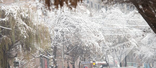 Заснеженный Ереван - Sputnik Армения