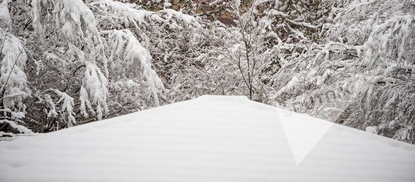 Заснеженный Ереван - Sputnik Армения