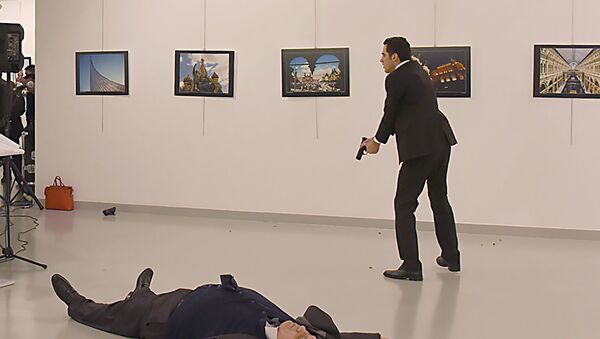 Убийство посла России в Турции - Sputnik Армения