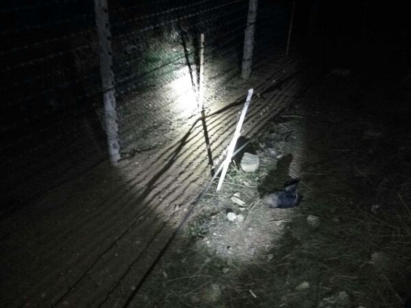 Наркотики на армяно-иранской границе Наркотики на армяно-иранской границе - Sputnik Армения