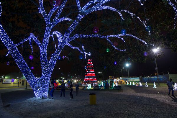 Новогодняя елка в парке в Мачале, Эквадор - Sputnik Армения