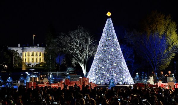 Новогодняя елка у Белого дома, Вашингтон, США - Sputnik Армения
