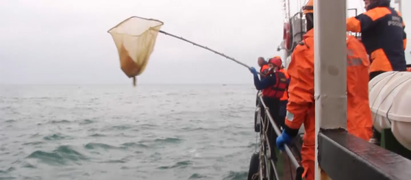 Спасатели на кораблях и вертолетах искали обломки Ту-154 в Черном море - Sputnik Արմենիա