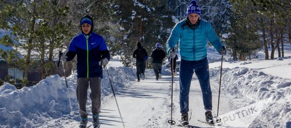 Армянские борцы в Цахкадзоре готовятся к предстоящему сезону Армянские борцы в Цахкадзоре готовятся к предстоящему сезону - Sputnik Армения