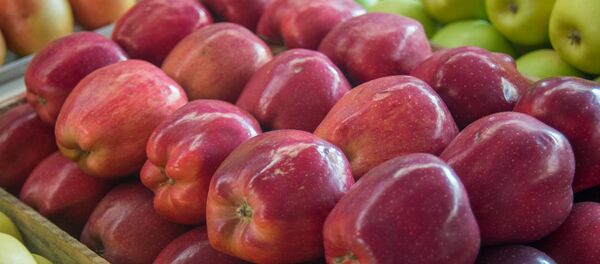 Фрукты, яблоки - Sputnik Армения