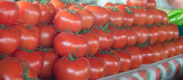 Помидоры  - Sputnik Արմենիա