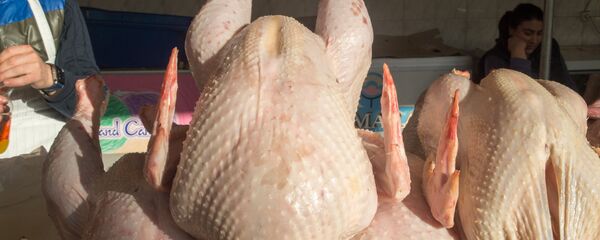 Курица - Sputnik Армения